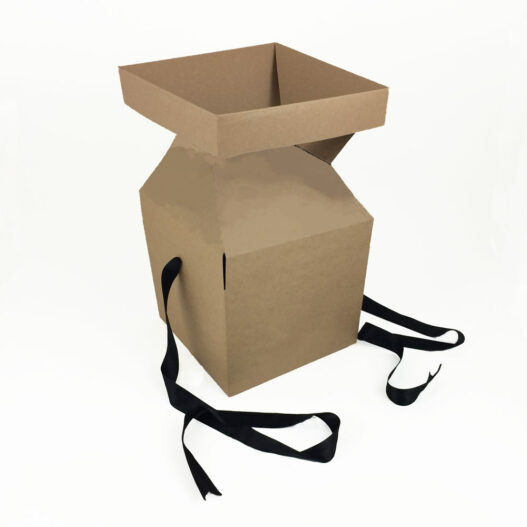 ArtiPack Box - Bruin