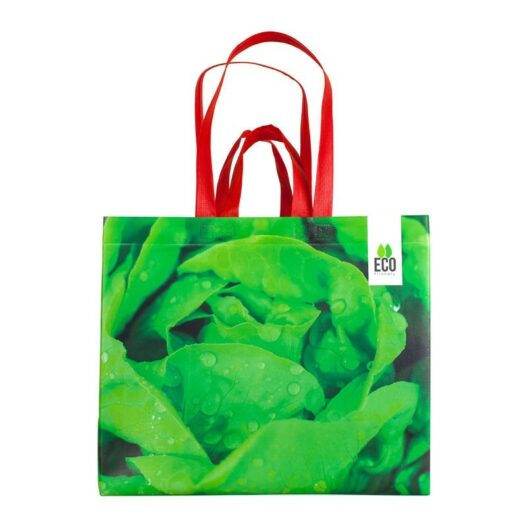 bag Salad print