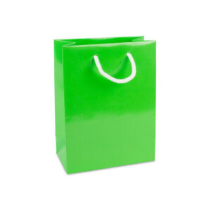Groen glanzende luxe tas van papier